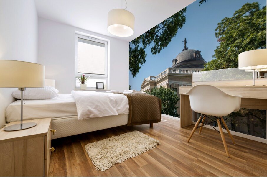 Historic Georgetown Courthouse in the town square in Texas Mural print