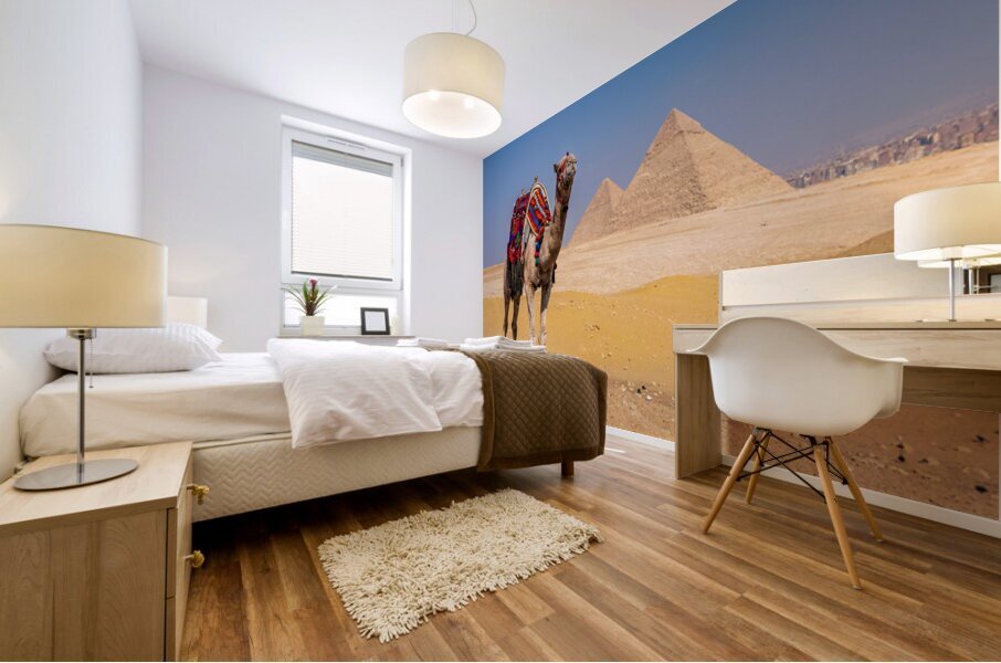 Single camel standing in front of Great Pyramid of Giza waiting  Mural print