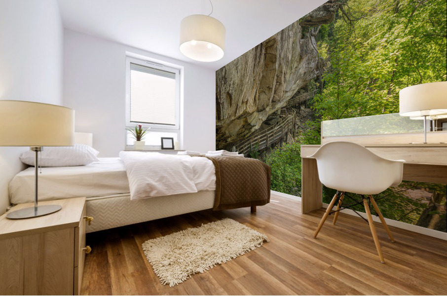 Boardwalk in Audra State Park near Buckhannon in West Virginia Mural print