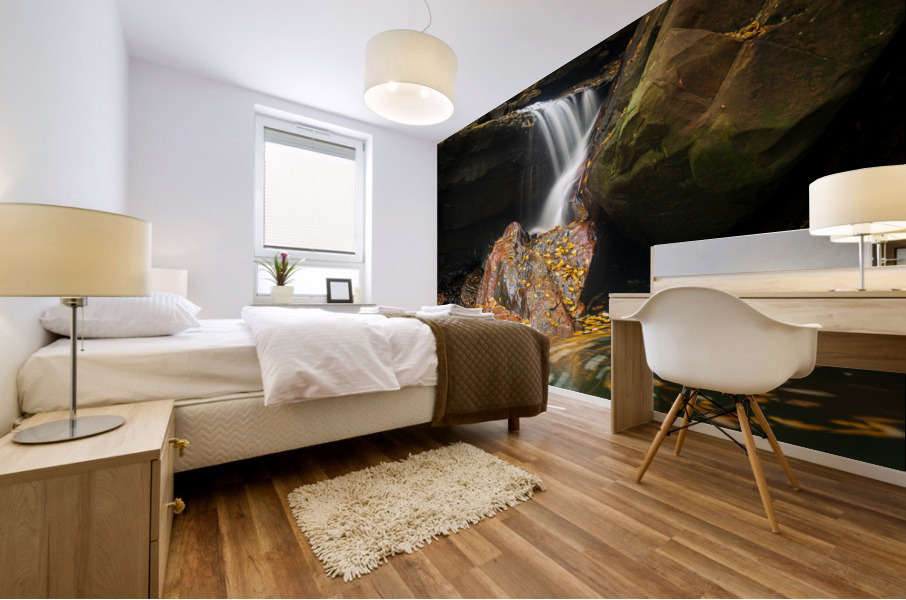 Waterfall on Deckers Creek near Masontown Mural print