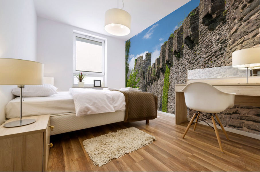 Ancient toilets in the historic Conwy castle in North Wales Mural print