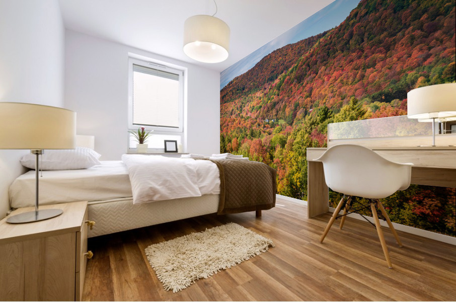 Multi-colored hillside in Vermont during the fall Mural print