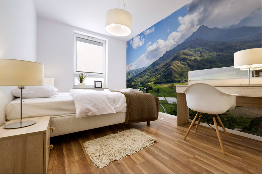 Hanalei valley from Princeville Kauai Mural print