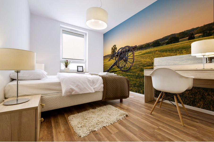 Cannons at Manassas Battlefield Mural print