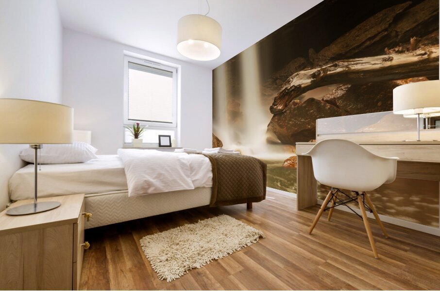 Douglas Falls near Blackwater Canyon trail near Thomas WV Mural print