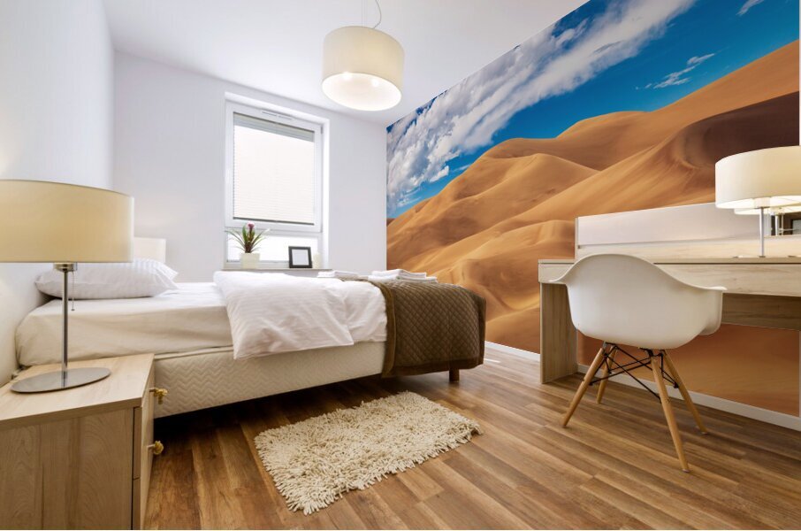 Panorama of Great Sand Dunes National Park Mural print
