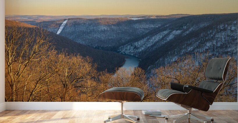 Cheat River Canyon at Coopers Rock on winter afternoon Wall Murals