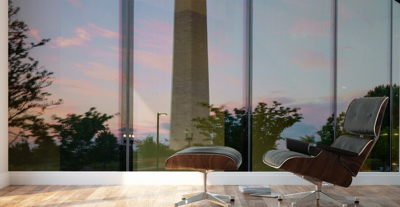 Reflection of Washington in African American Museum Wall Murals