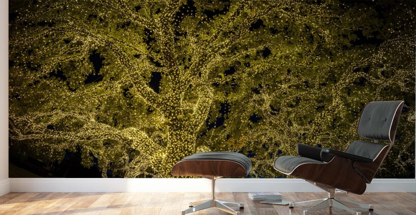 Holiday lights spectacular in Johnson City Texas Wall Murals