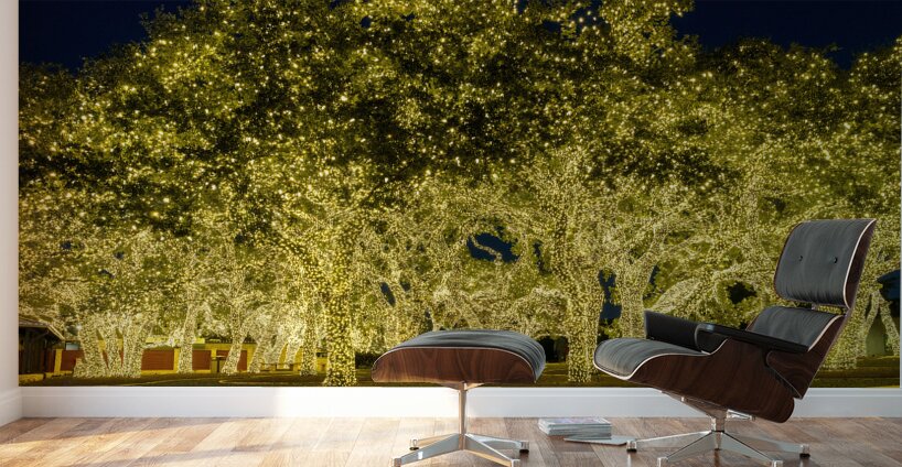 Holiday lights spectacular in Johnson City Texas Wall Murals