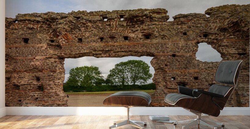 The Old Work is a wall to the baths of the large Roman settlemen Wall Murals