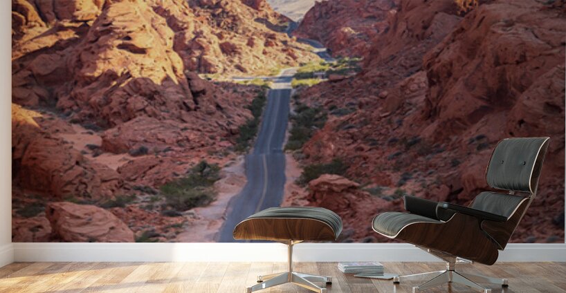 Mouses Tank Road through dramatic aztec sandstone formations in  Wall Murals