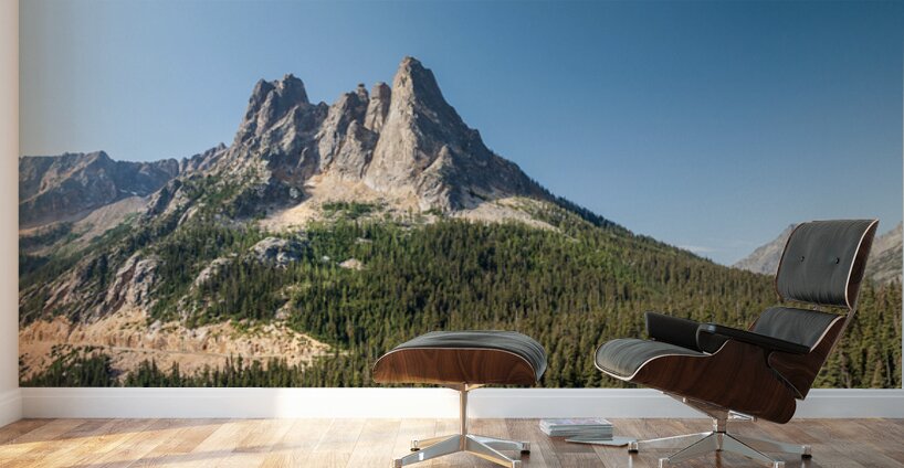 View of the North Cascades Highway looking towards the Washingto Wall Murals