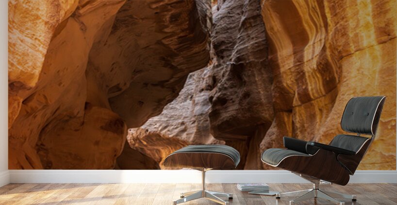 Narrow gorge of the Siq entering Petra Wall Murals