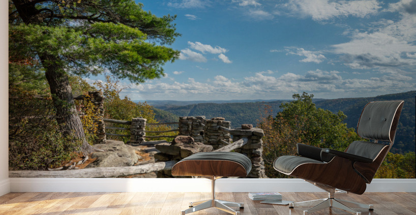Coopers Rock state park overlook vertical format Wall Murals