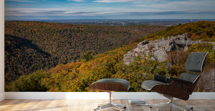 Coopers Rock state park overlook near Morgantown Wall Murals