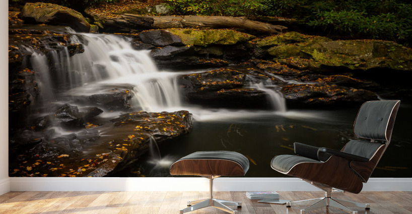 Waterfall on Deckers Creek near Masontown WV Wall Murals