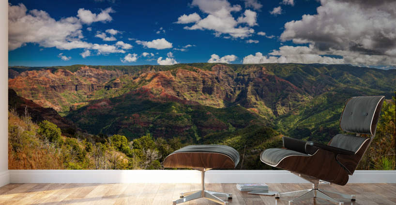 Panorama of the Waimea Canyon from the Iliau Nature loop Wall Murals
