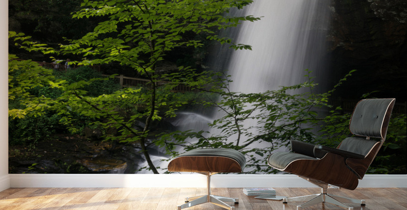 Dry Falls Waterfall near Highlands NC Wall Murals