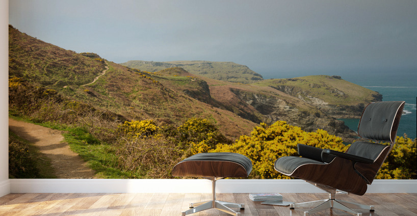 South West coast path near Tintagel Cornwall Wall Murals
