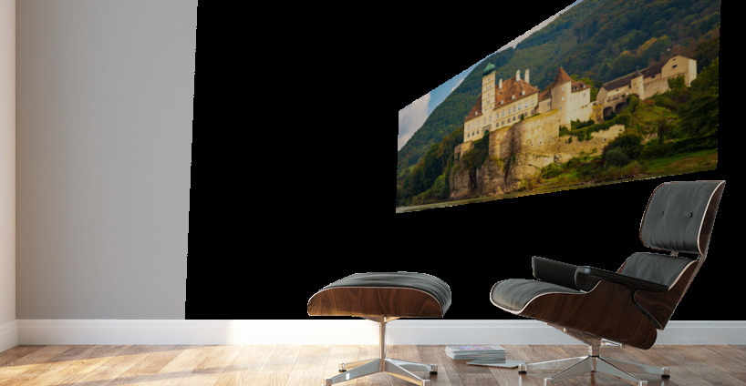 Schloss Schoenbuehel on Danube riverbank Wall Murals