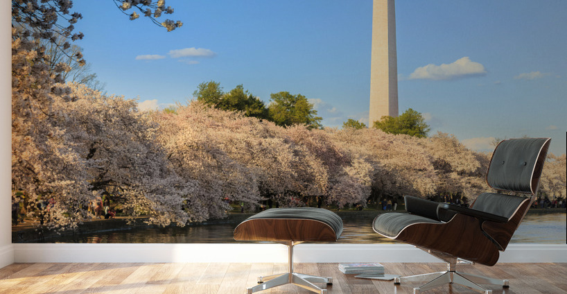 Washington Monument towers above blossoms Wall Murals