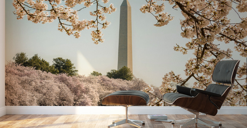 Washington Monument towers above blossoms Wall Murals