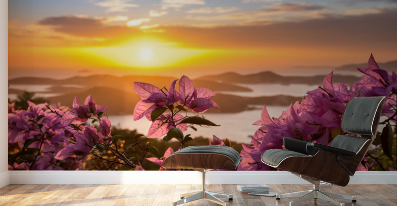 Sunset over Charlotte Amalie St Thomas Wall Murals