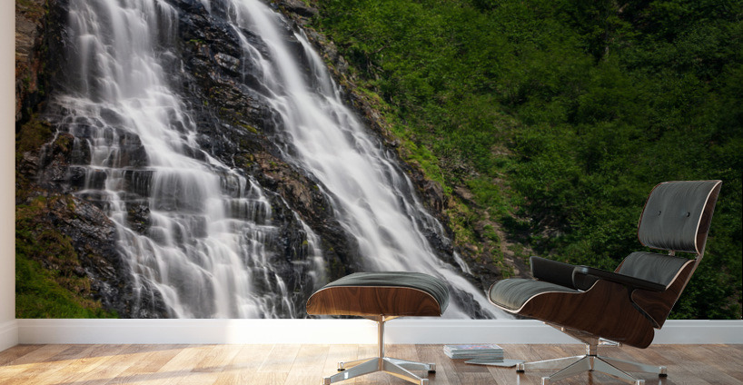 Dramatic waterfall of Horsetail Falls in Keystone Canyon Wall Murals