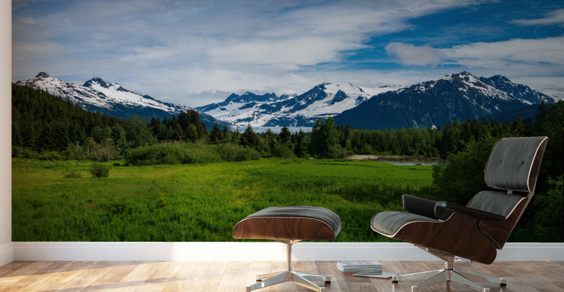 The Mendenhall valley from Brotherhood bridge near Juneau Wall Murals