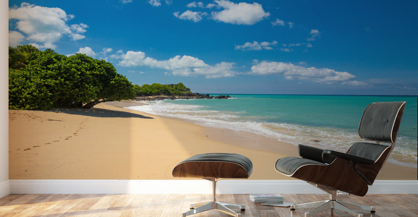 Happy Bay off coast of St Martin Caribbean Wall Murals