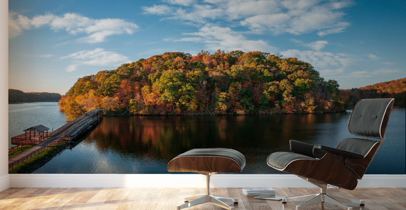 Aerial view with reflection of fall leaves in Cheat Lake Park Wall Murals
