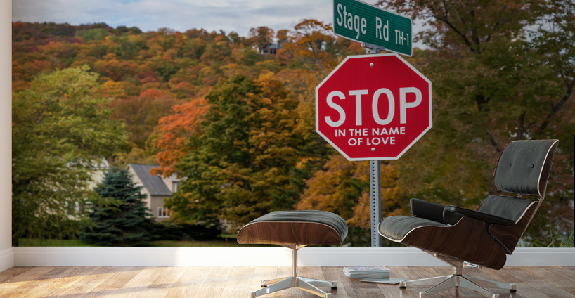 Stop in the name of love road sign in Vermont Wall Murals