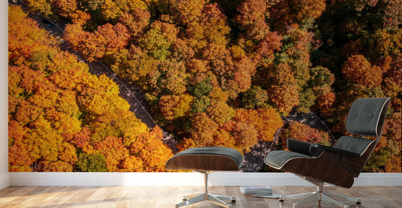 Aerial view of hairpin bend in Smugglers Notch Wall Murals