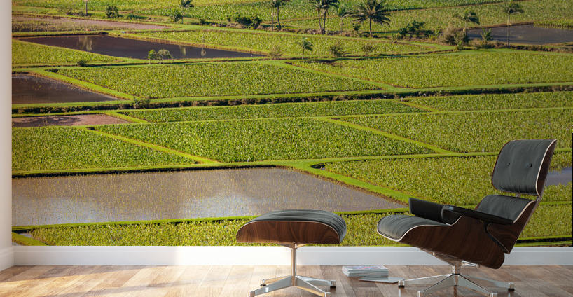 Hanalei Valley in Kauai Wall Murals