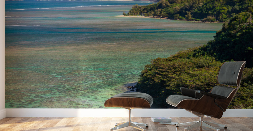 Sealodge and anini beach in Kauai Wall Murals