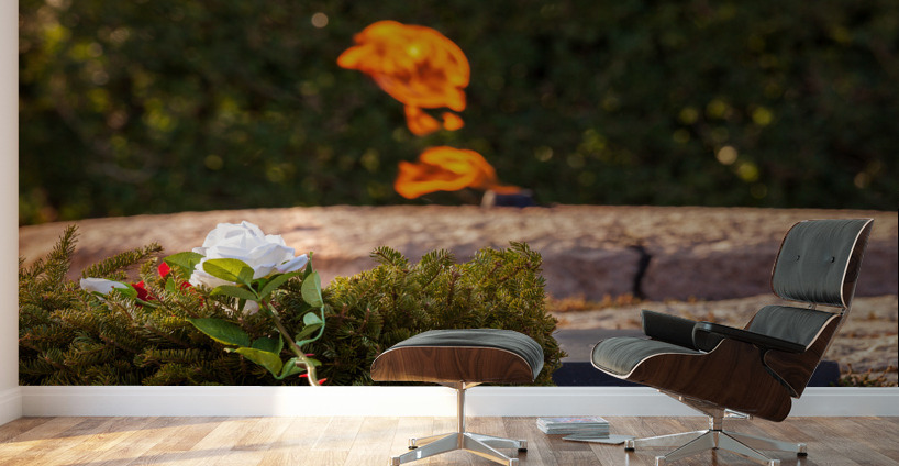 Christmas wreath by JFK memorial Wall Murals