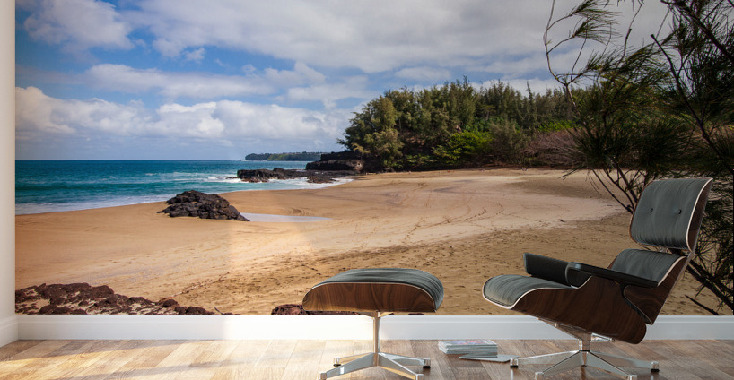 View towards Hanalei at Lumahai Wall Murals