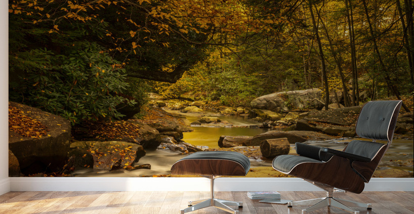 View down Deckers Creek near Masontown Wall Murals