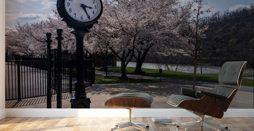 Old fashioned clock by the bike walking trail over Deckers Creek Wall Murals