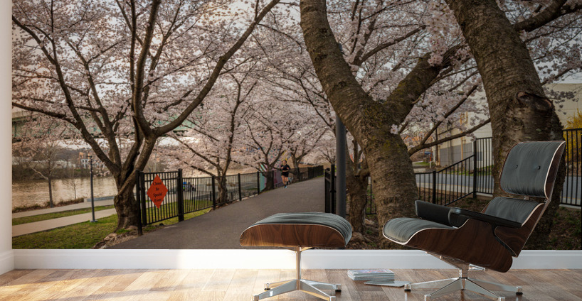 Jogger running on the bike walking trail over Deckers Creek Morg Wall Murals