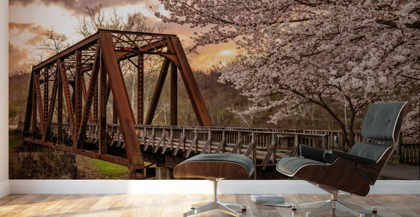 Steel girder bridge carries the bike walking trail over Deckers  Wall Murals