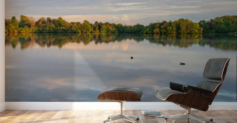View across the Ellesmere Mere to a clear reflection of distant  Wall Murals