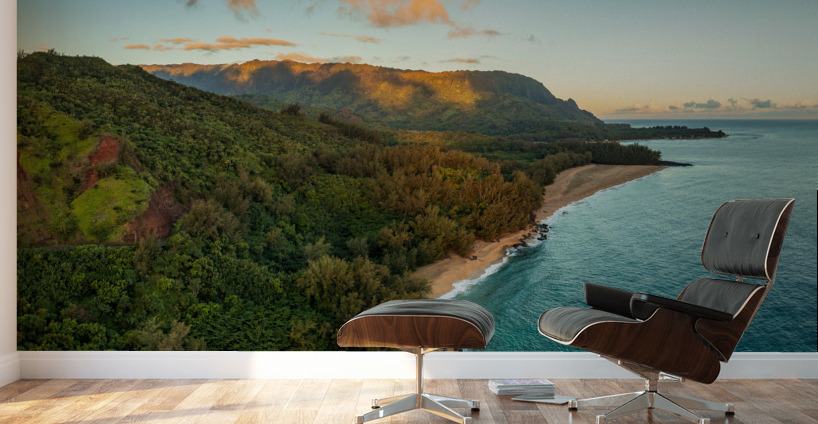 Aerial image of Lumahai Beach on the north shore of Kauai Wall Murals