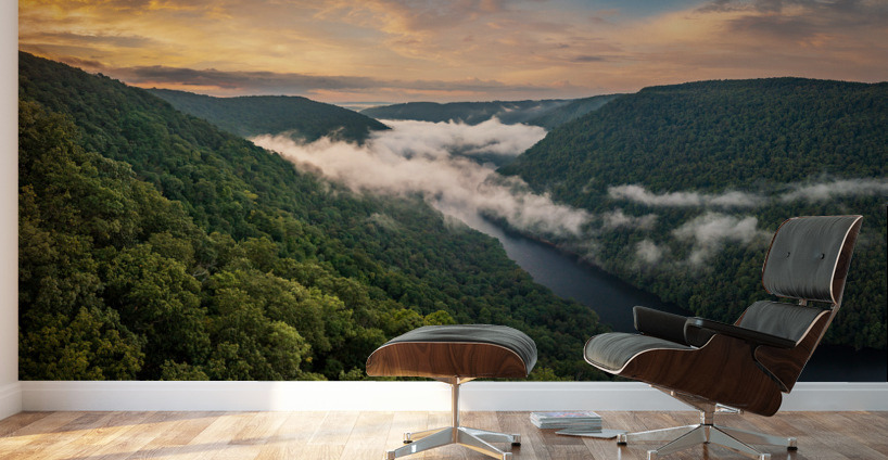 Mist swirling over Cheat River gorge at sunrise near Morgantown  Wall Murals