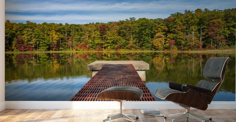 Fall leaves and metal pier in Coopers Rock State Forest in WV Wall Murals