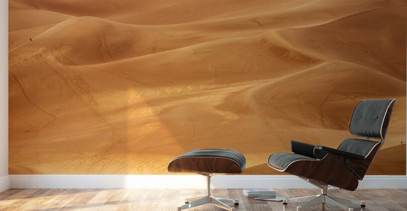 People on Great Sand Dunes NP  Wall Murals