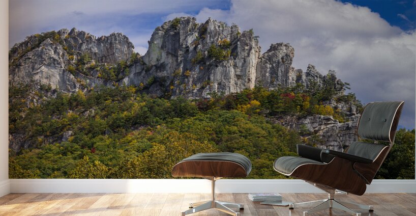 Seneca Rocks in West Virginia Wall Murals
