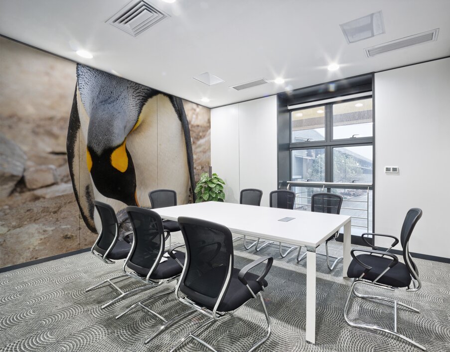 Small chick hiding in the feathers of a King Penguin at Bluff Co Wall Printing