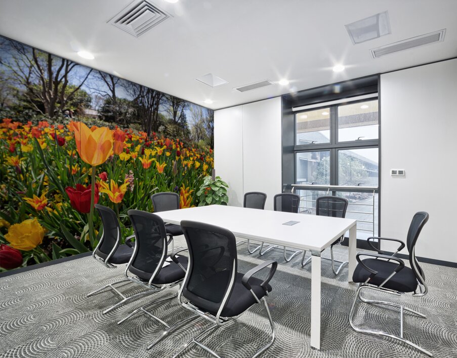 Field of vibrant tulips in full bloom creating a colorful tapes Wall Printing